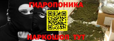 PSILOCYBIN Бугуруслан