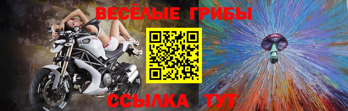 Галлюциногенные грибы прущие грибы  где можно купить наркотик  Сочи  Вход с VPN 